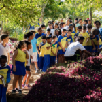 Vassouras promove Semana Municipal do Meio Ambiente com ações educativas e sustentáveis