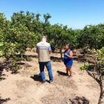 Dia Mundial do Agrônomo: Defesa Sanitária Vegetal atua na proteção das lavouras e no fortalecimento da agricultura fluminense