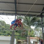Festa do Dia das Crianças reúne mais de mil pessoas no Grecco